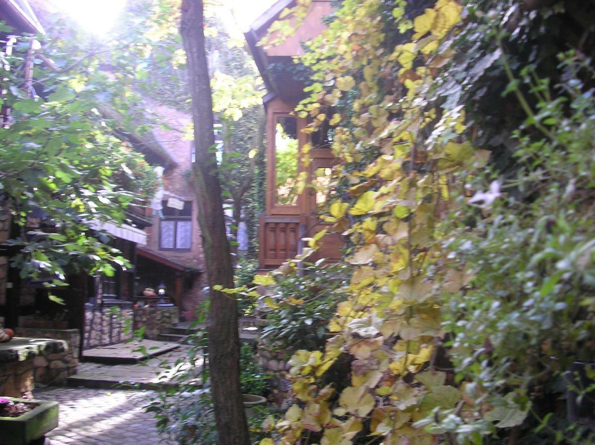 Gite Le Riesling Bergheim Exteriér fotografie